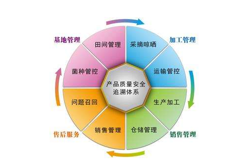 產品追溯係統有哪些公司，是怎樣開發係統的？